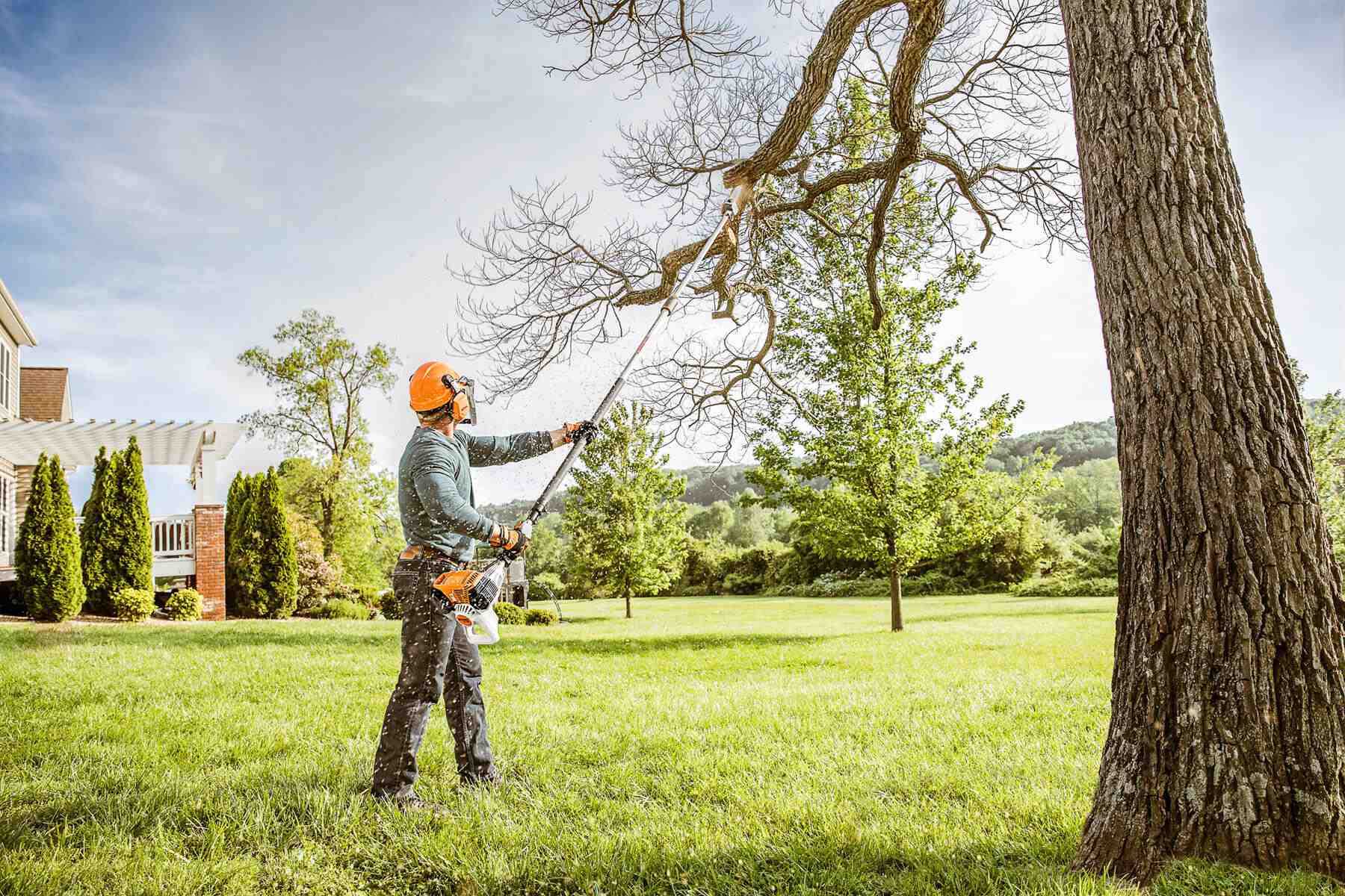 proactive tree management