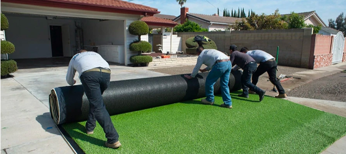 DK Seeds native turf